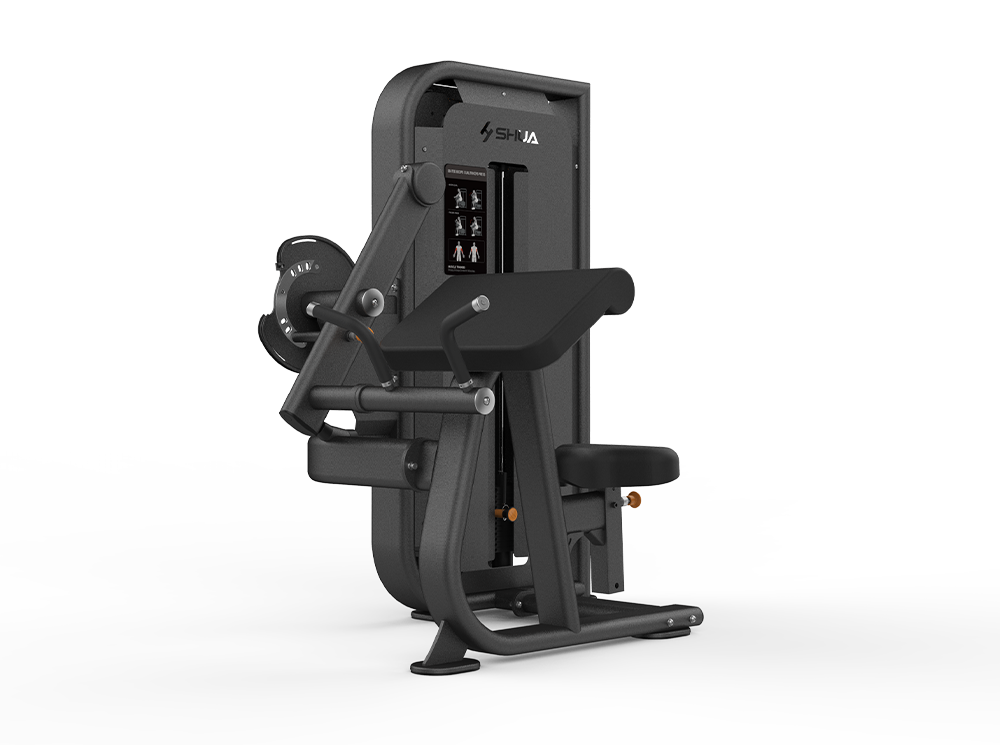 Seated Biceps Curl/Triceps Press