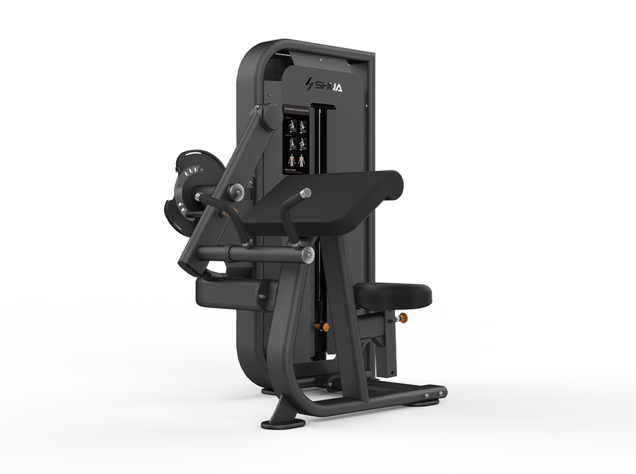 Seated Biceps Curl/Triceps Press