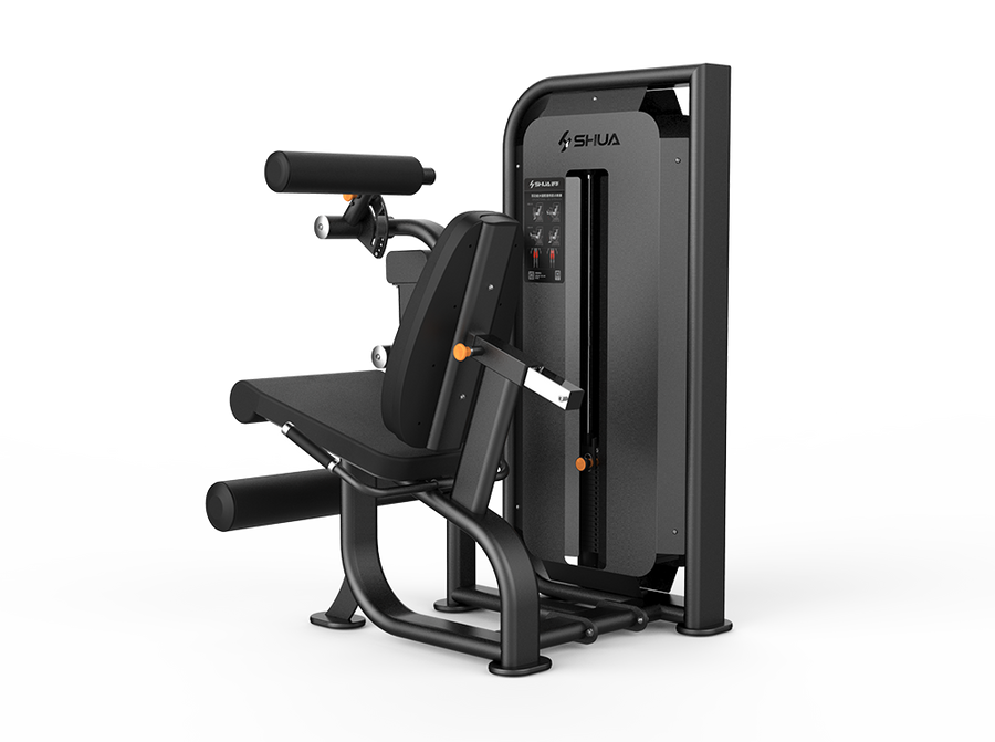Seated Leg Curl/Extension