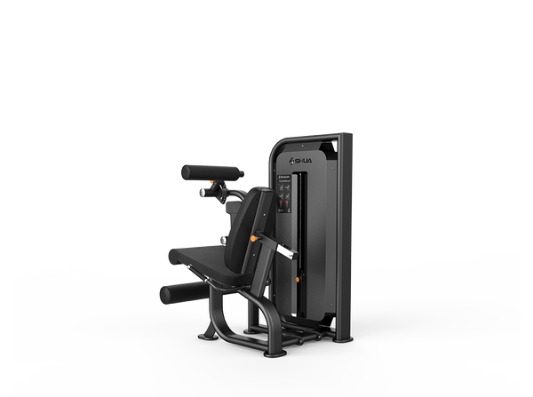 Seated Biceps Curl/Triceps Press