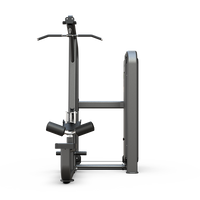 Lat Pulldown/Seated Row - view 5