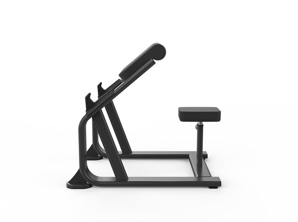 Seated Arm Curl