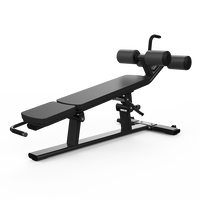 Adjustable Abdominal Bench