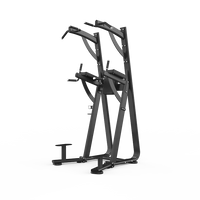 Chin Dip Leg Raise Station