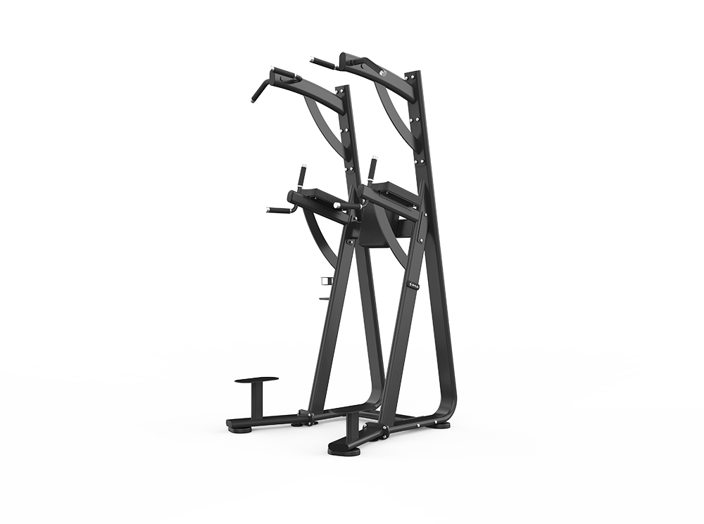 Chin Dip Leg Raise Station