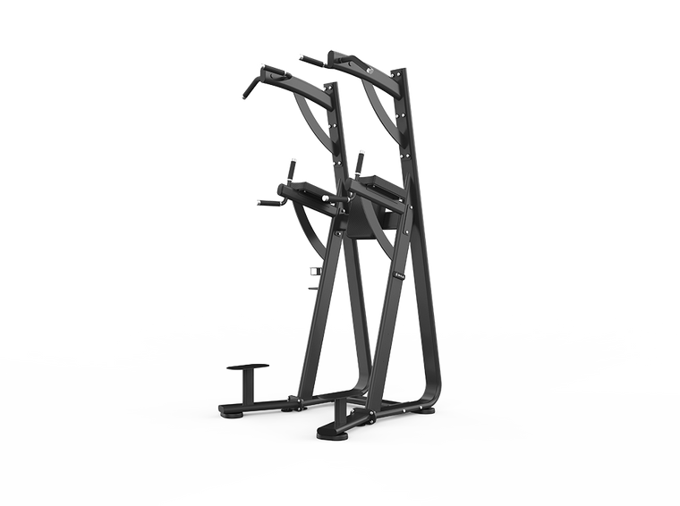 Chin Dip Leg Raise Station