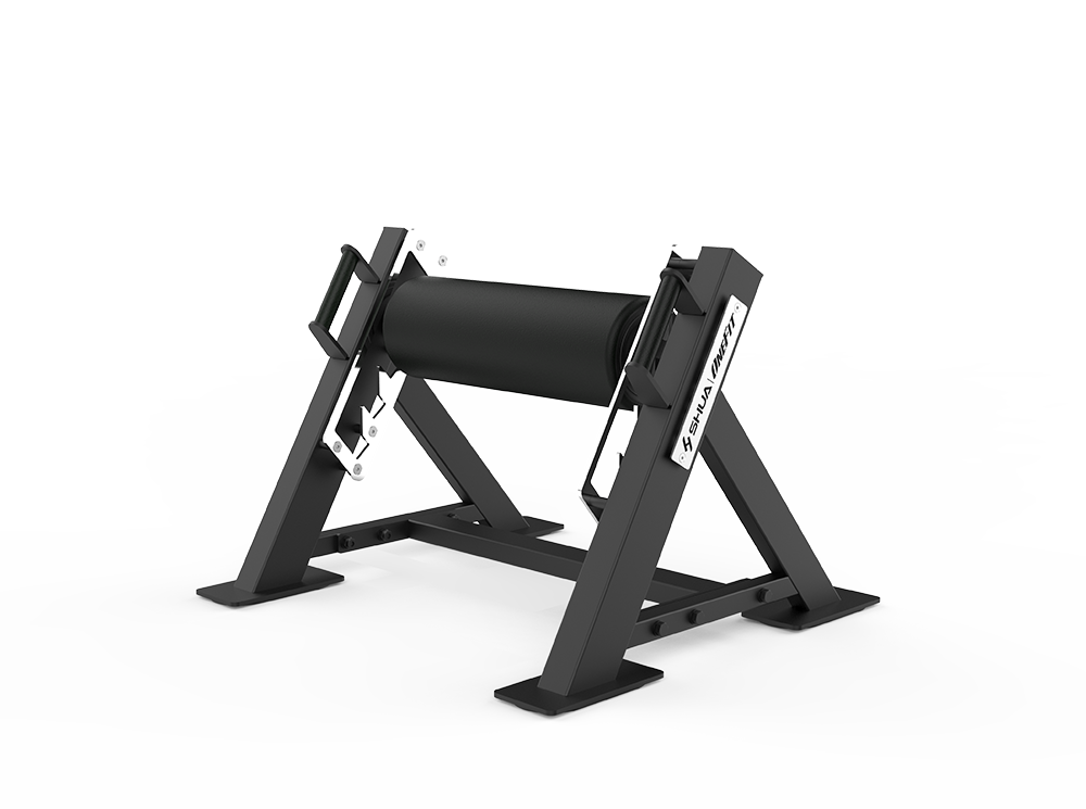 Lunge Machine