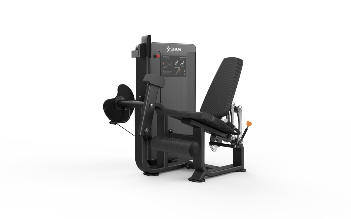 Leg Extension