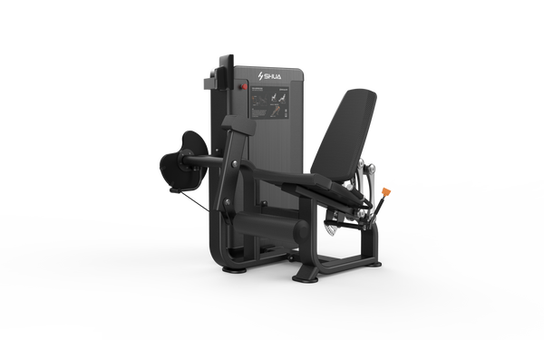 Leg Extension