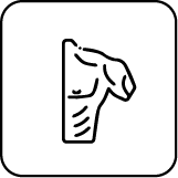 ISO-Lateral Shoulder Press - view 2