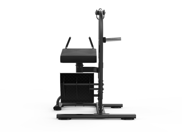 Rear Kick