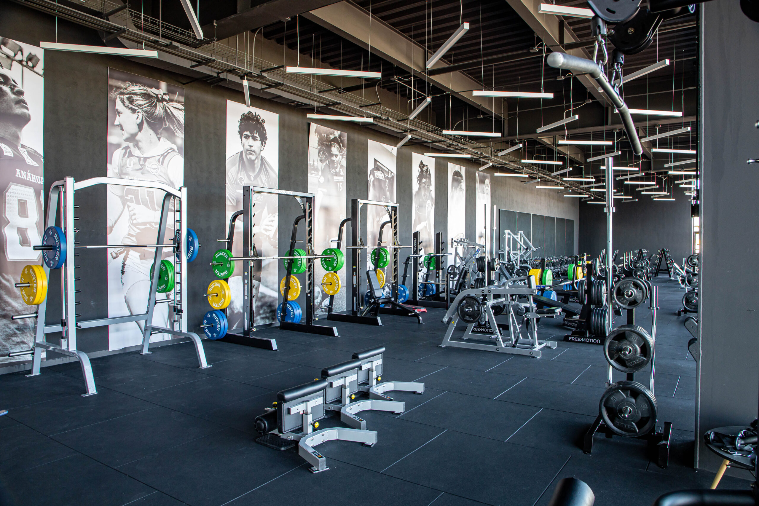 Area de fuerza en gimnasio universitario